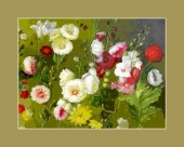 nuva ring implicated image drugs images